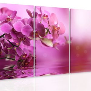 Vícedílný obraz - Orchidej na hladině