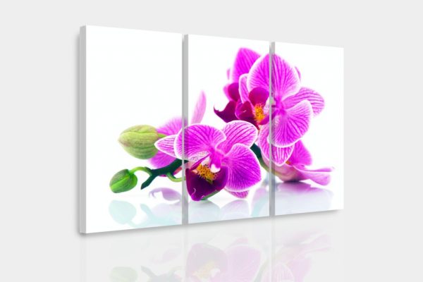 Vícedílný obraz - Orchidej v prostoru