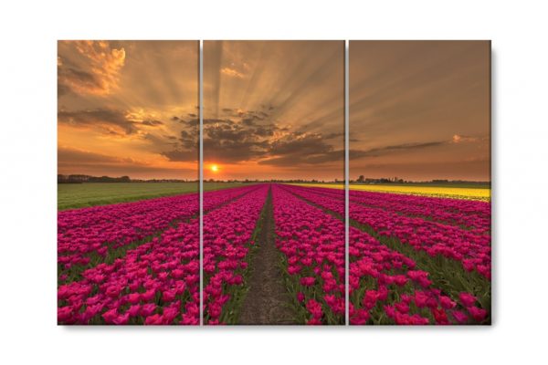 Vícedílný obraz - Záplava tulipánů - Image 4
