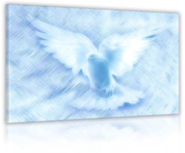 Obraz Nebeská holubice
