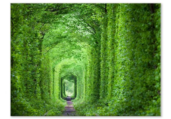 Obraz Zelený tunel - Image 3