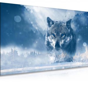 Obraz vlk v zimě