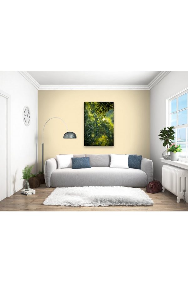 Obraz ranní rozostření 40x60 cm - Image 3