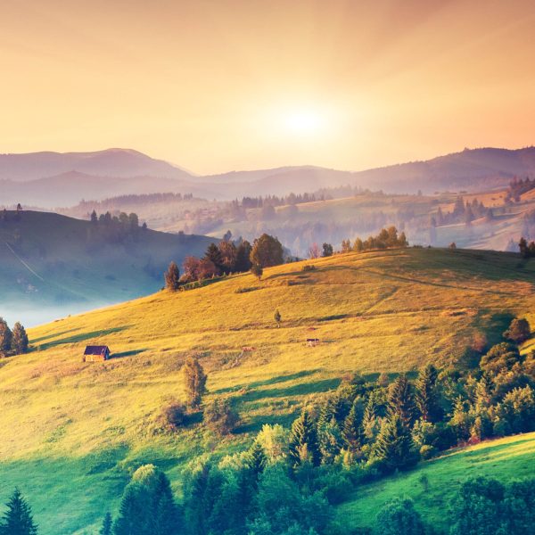 Obraz Zbarvená krajina SKLAD - Image 4